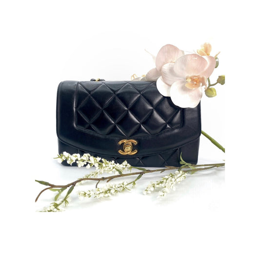 Enrique, 2 Series Small Black Lambskin Diana with seal and card