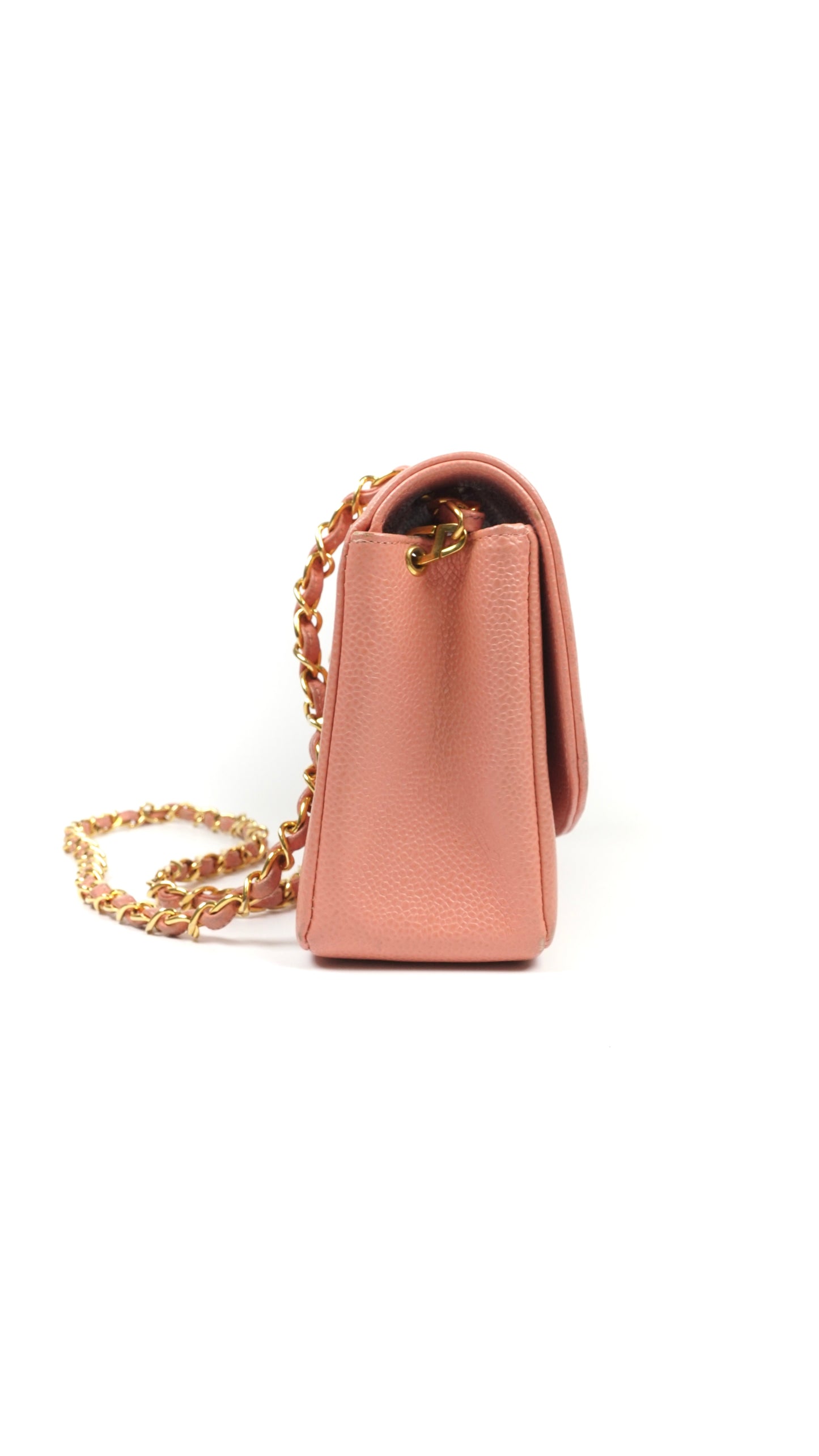 Asher, small Diana Light Pink Caviar with seal only