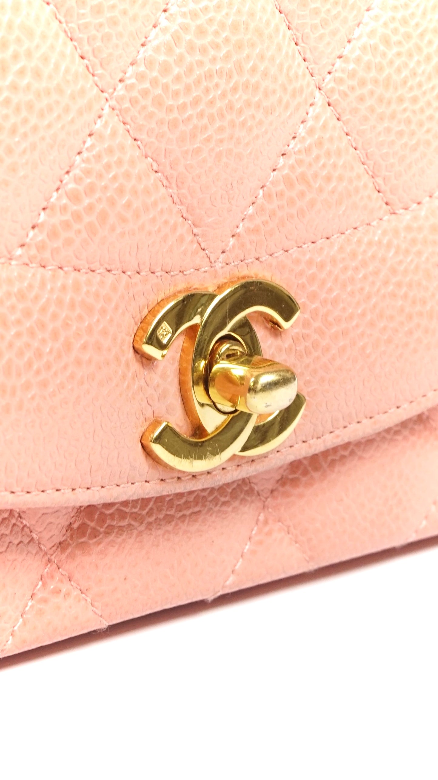 Asher, small Diana Light Pink Caviar with seal only
