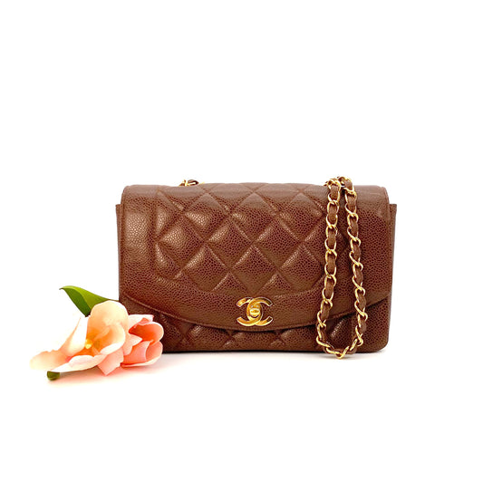 Rina, 2 Series Small Diana Brown Caviar with seal only