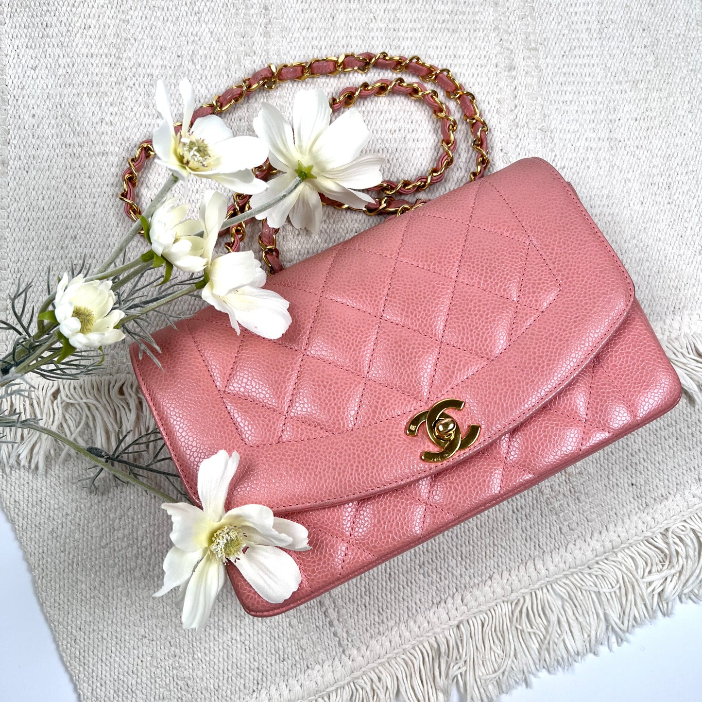 Asher, small Diana Light Pink Caviar with seal only