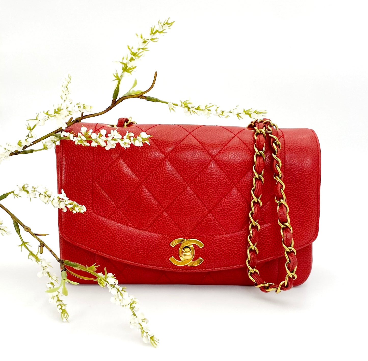 Ulysses, 2 series small red caviar Diana with sticker and card