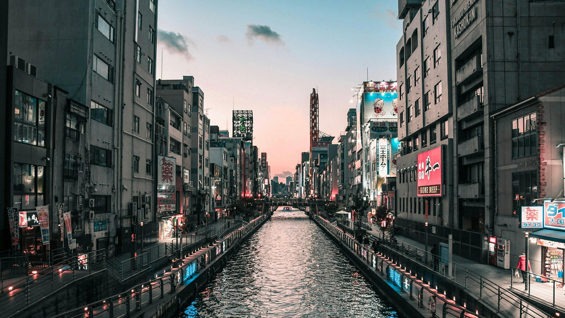 Osaka: Vintage Handbag Shopping Guide - The Premium Splurger (Part 1 of 3)