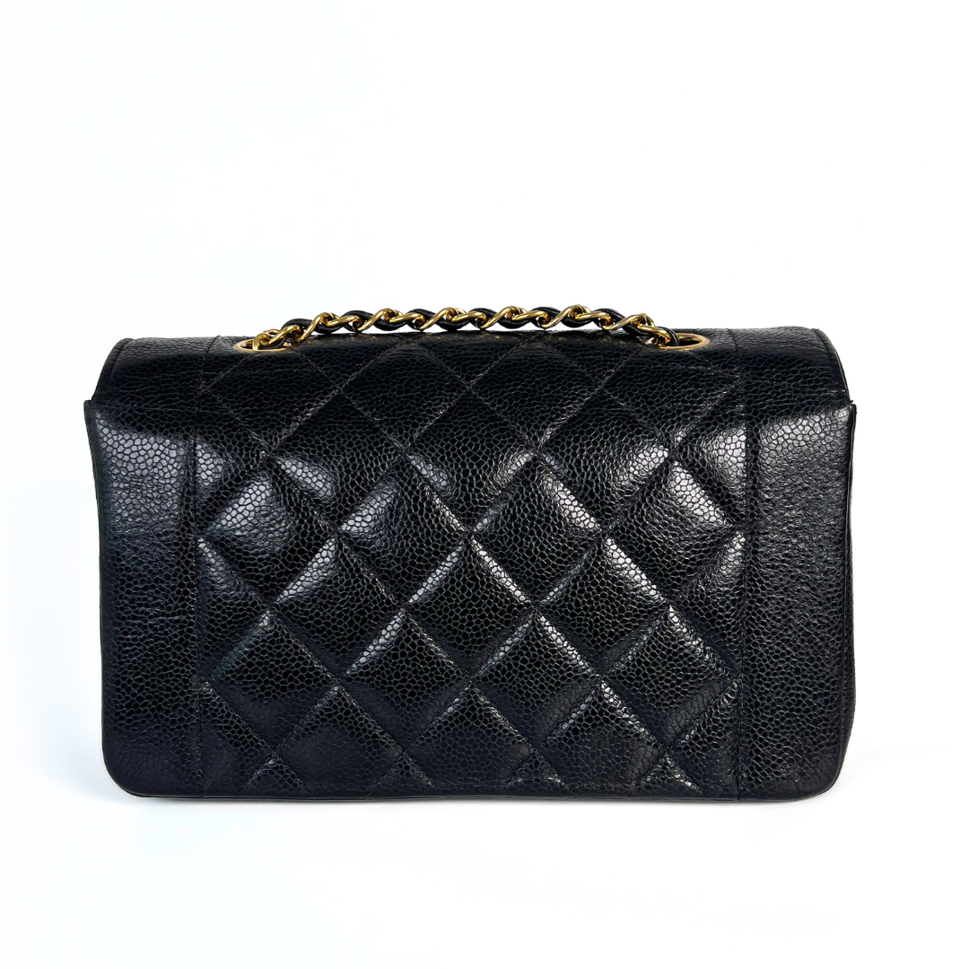 Clive Sr, 2 Series Small Diana Black Caviar with seal only