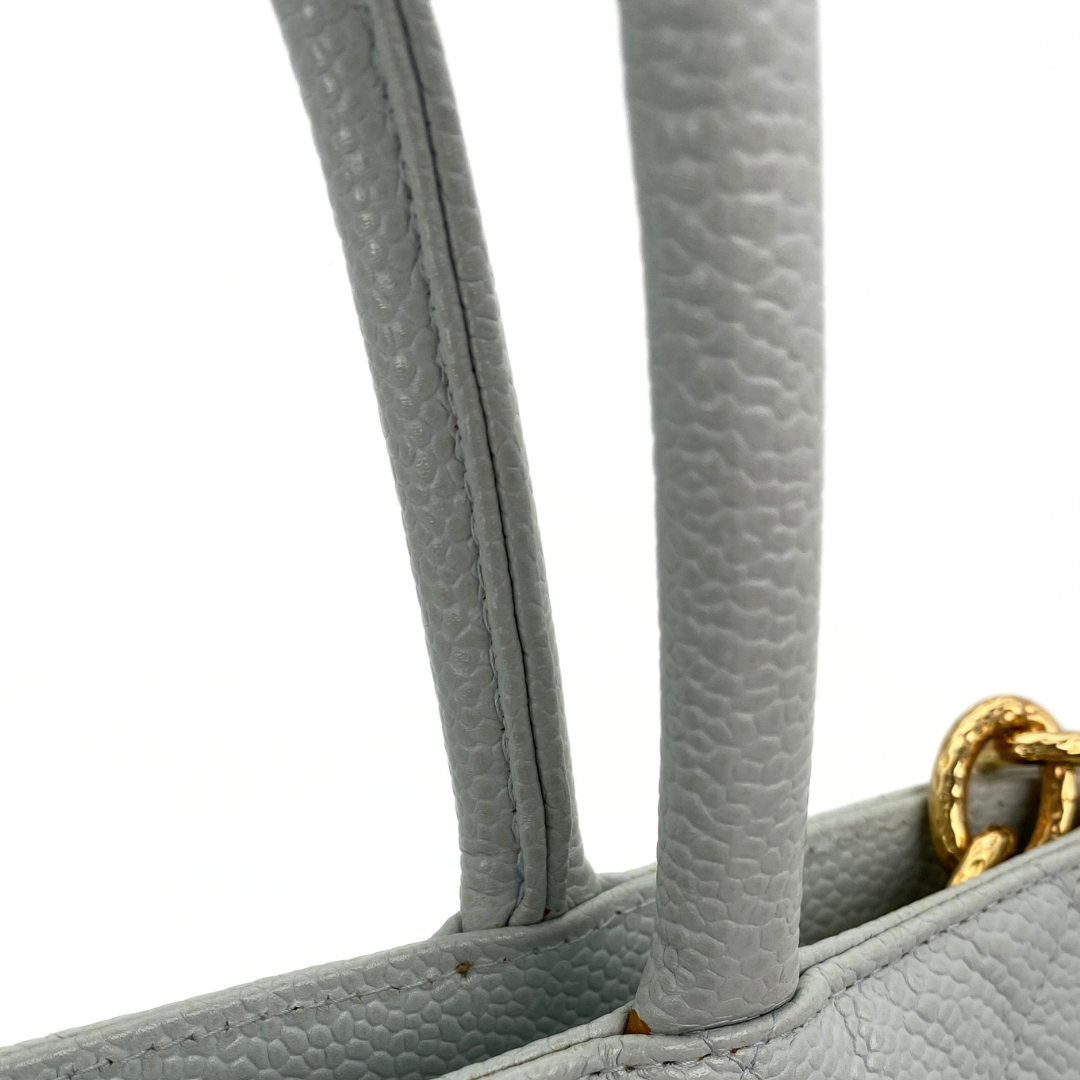 Preston, 7 Series Medallion Tote Light Blue Caviar with seal and card