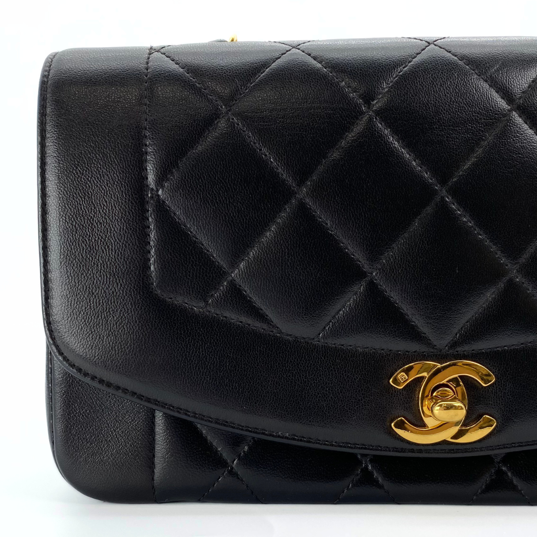 Sergey, 2 Series Small Diana Black Lambskin with seal and card