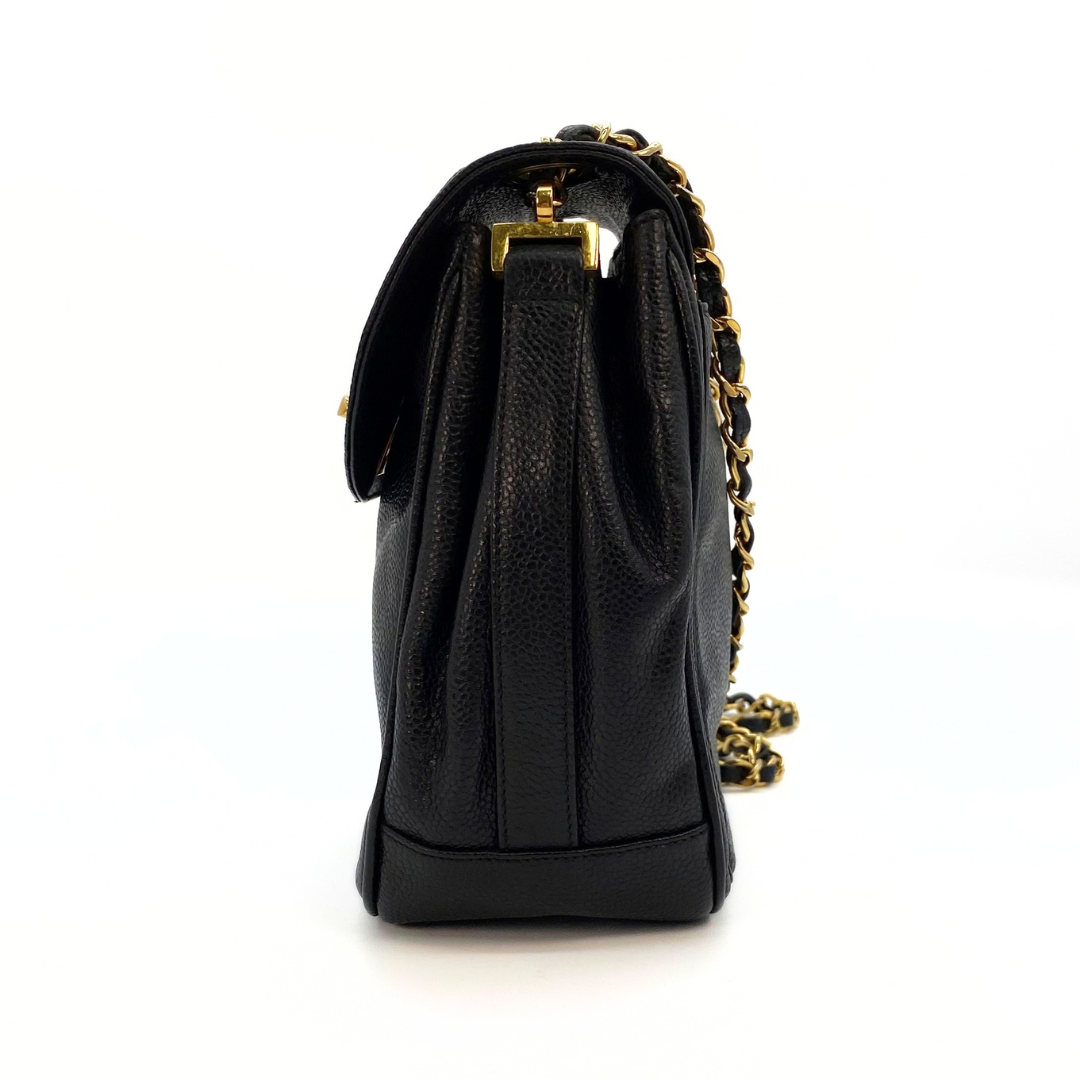 Erina, 3 Series Penguin CC Black Caviar with seal only