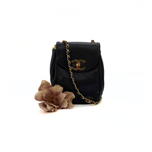 Erina, 3 Series Penguin CC Black Caviar with seal only