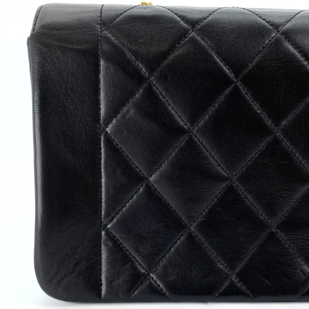 Sergey, 2 Series Small Diana Black Lambskin with seal and card