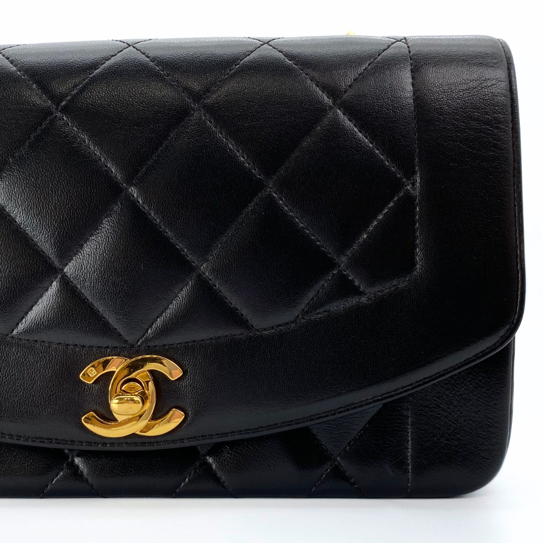 Sergey, 2 Series Small Diana Black Lambskin with seal and card