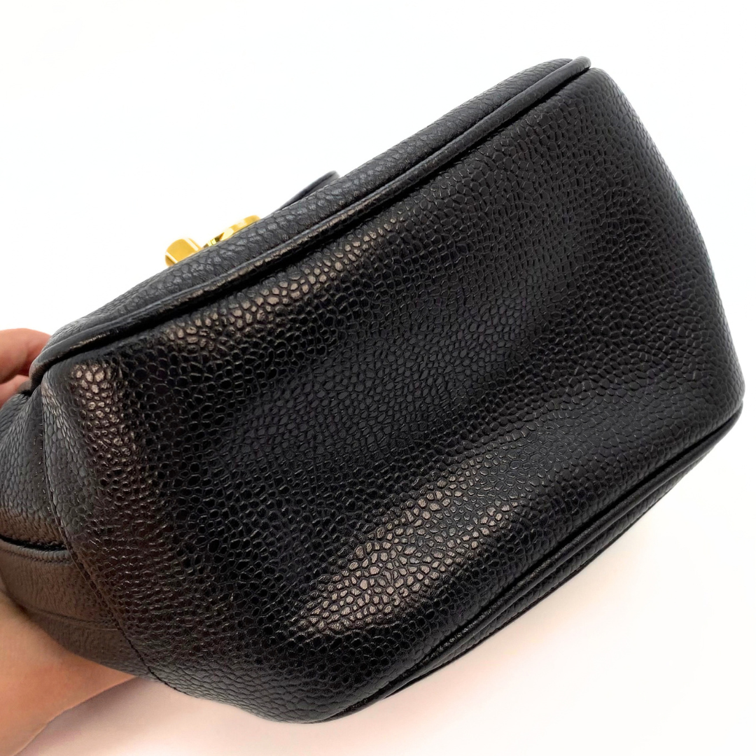 Erina, 3 Series Penguin CC Black Caviar with seal only