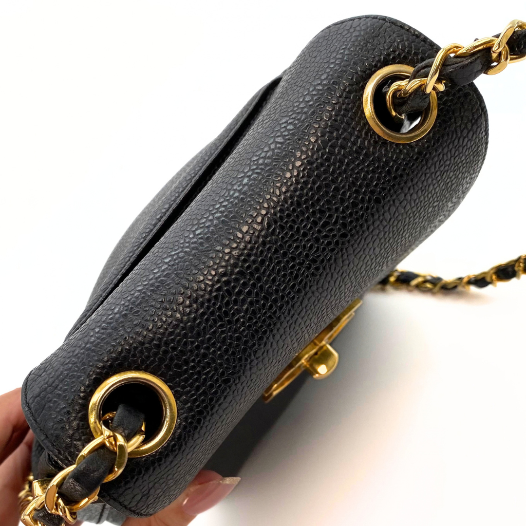 Erina, 3 Series Penguin CC Black Caviar with seal only