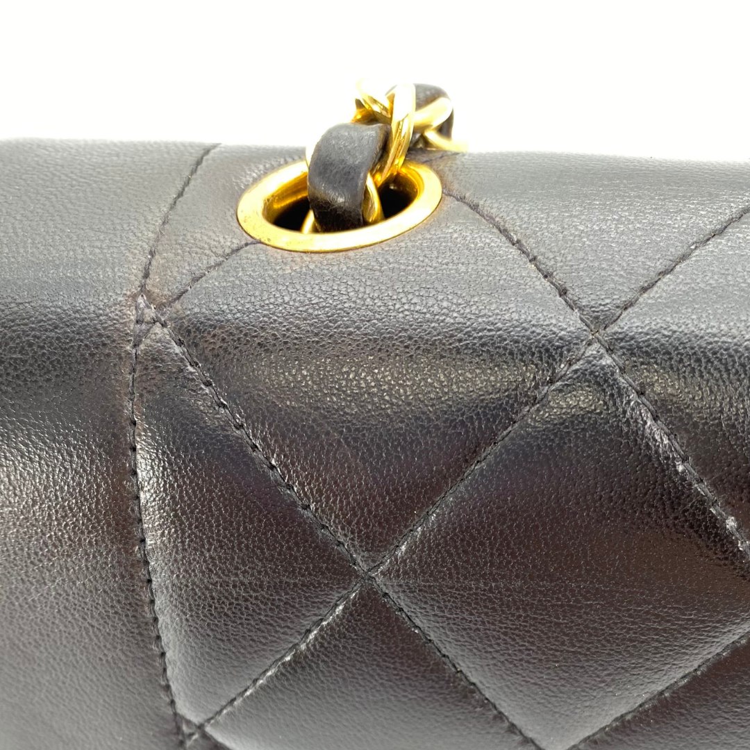 Sergey, 2 Series Small Diana Black Lambskin with seal and card