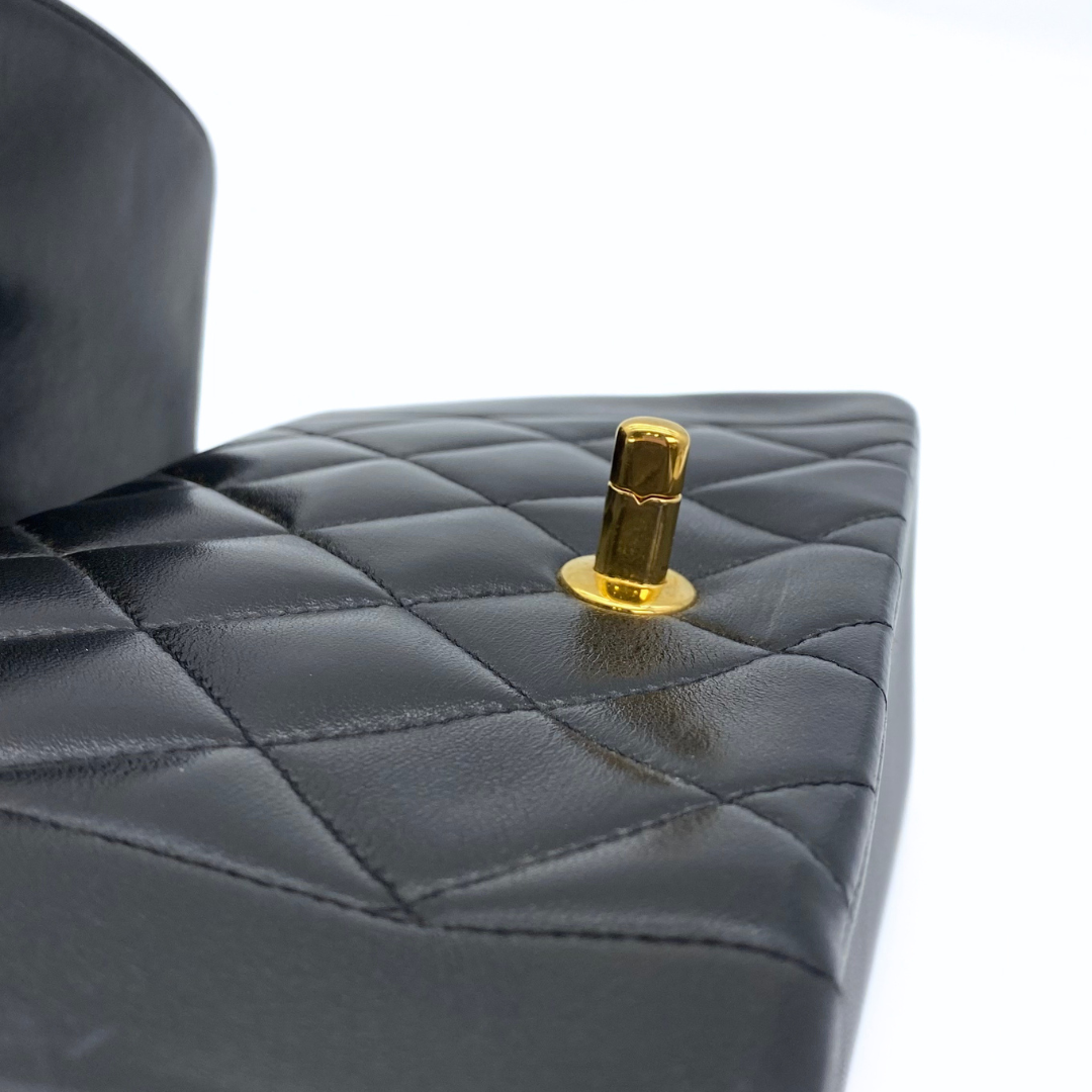 Sergey, 2 Series Small Diana Black Lambskin with seal and card