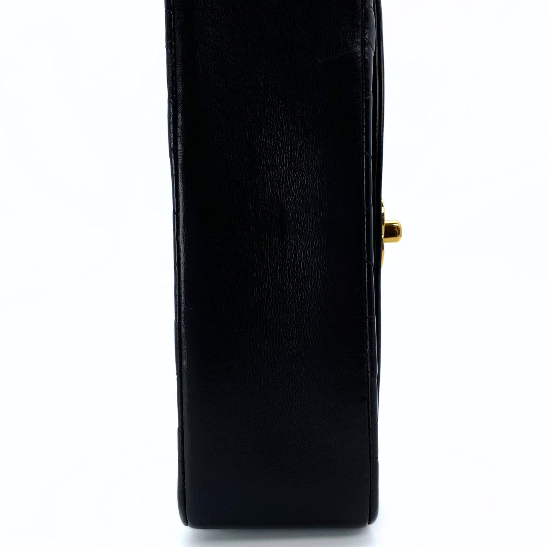 Sergey, 2 Series Small Diana Black Lambskin with seal and card