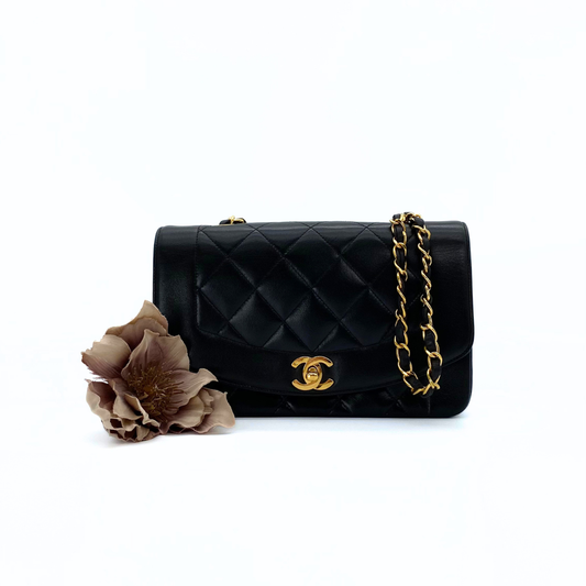 Sergey, 2 Series Small Diana Black Lambskin with seal and card