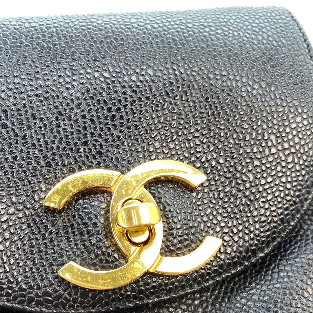 Erina, 3 Series Penguin CC Black Caviar with seal only