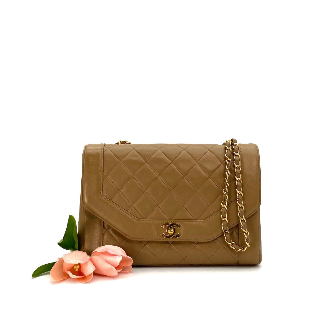 Lucius, 1 Series Tab Border Dark Beige Lambskin Flap with seal and card