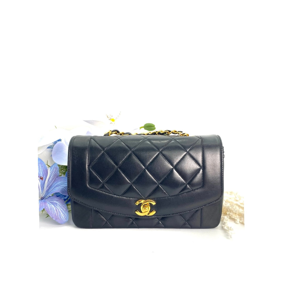 Paul Sr, 2 series small black lambskin diana with seal and card