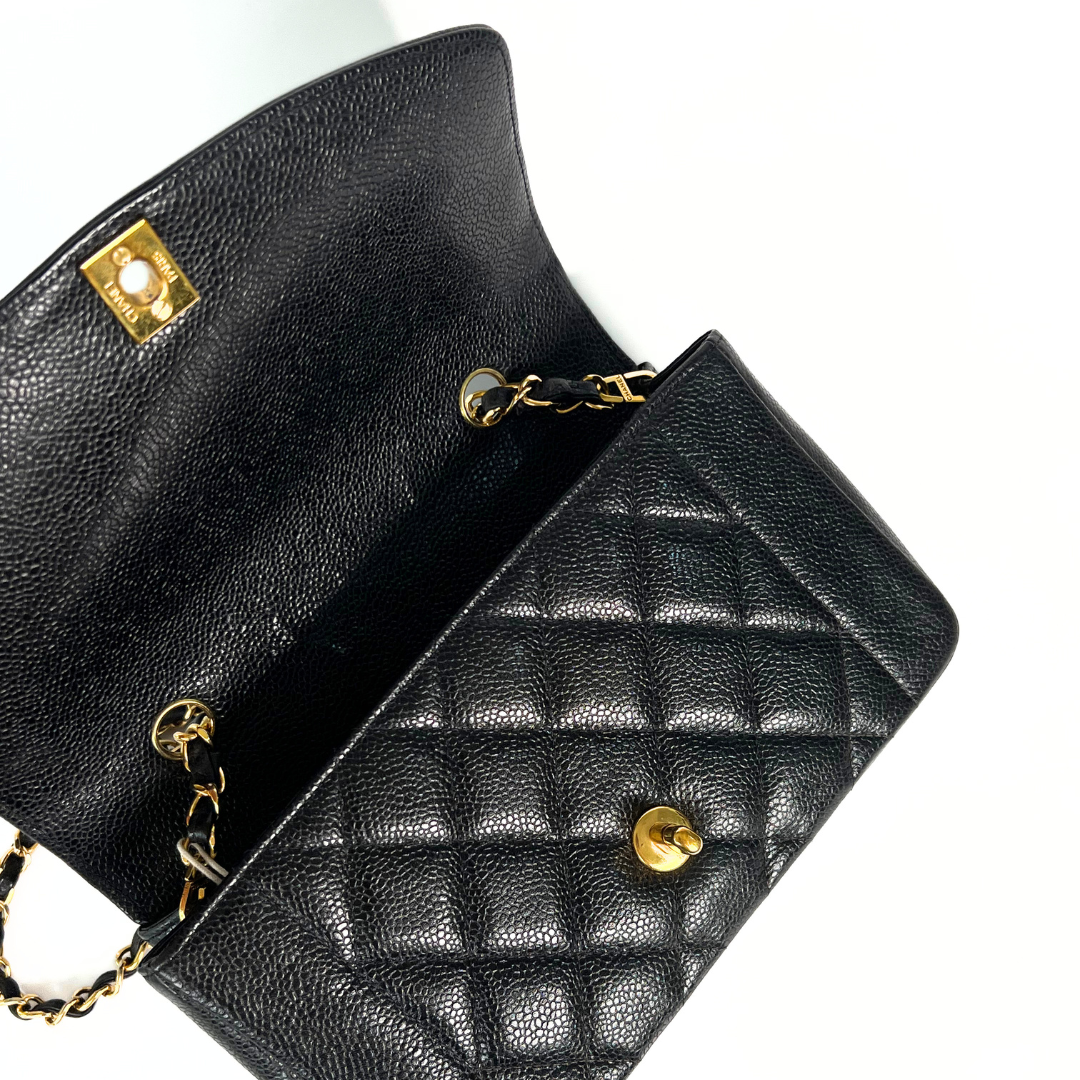 Clive Sr, 2 Series Small Diana Black Caviar with seal only