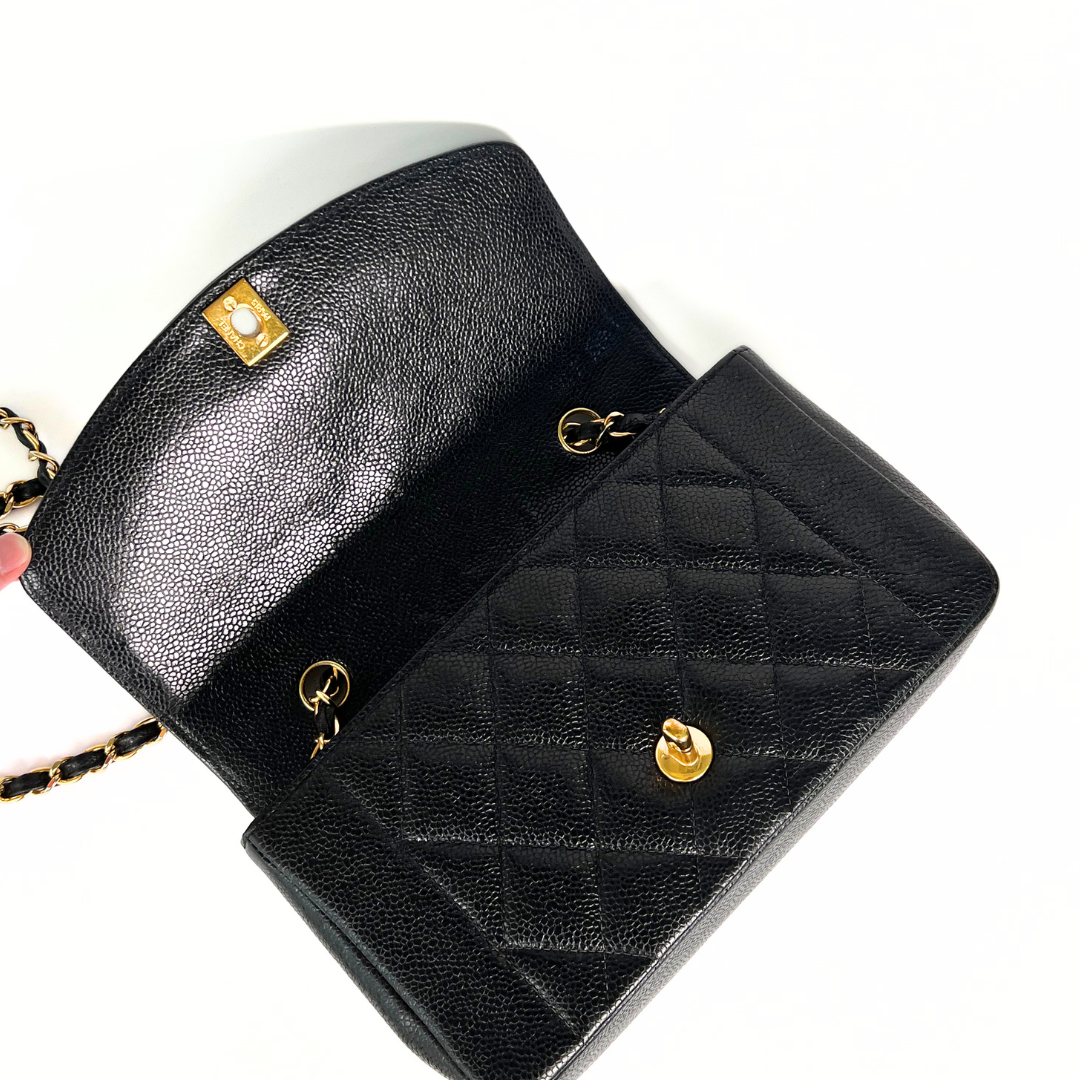 Clive Sr, 2 Series Small Diana Black Caviar with seal only