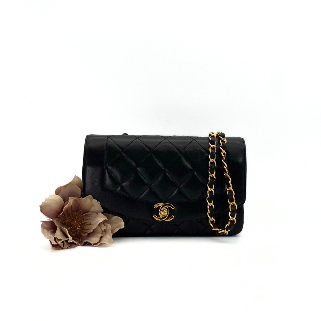 Clive Sr, 2 Series Small Diana Black Caviar with seal only