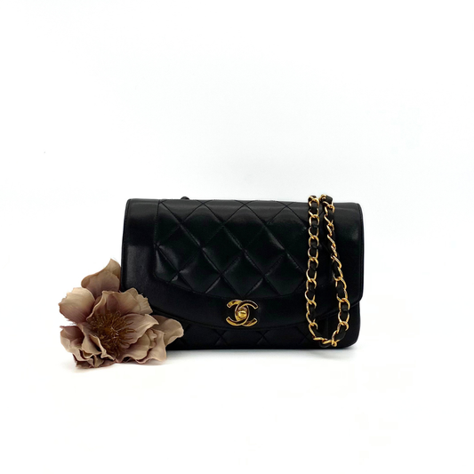 Clive Sr, 2 Series Small Diana Black Caviar with seal only