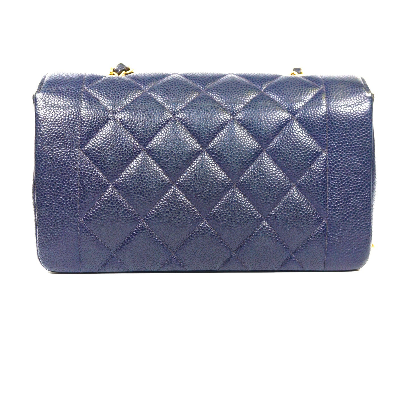 Petra, 2 Series Small Diana Navy Caviar with seal and card