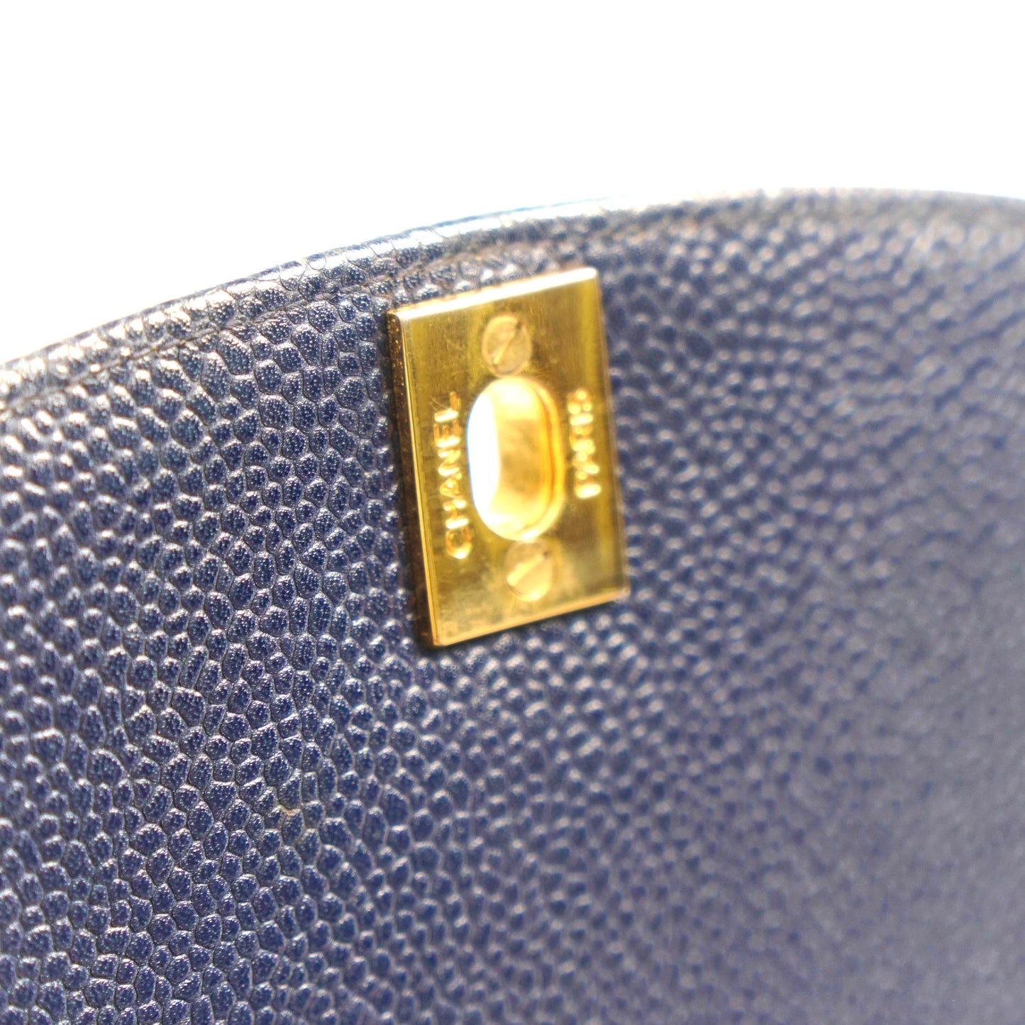 Petra, 2 Series Small Diana Navy Caviar with seal and card