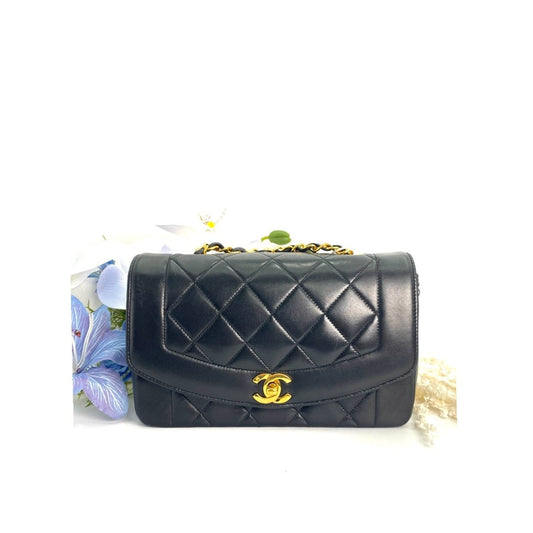 Paul Sr, 2 series small black lambskin diana with seal and card