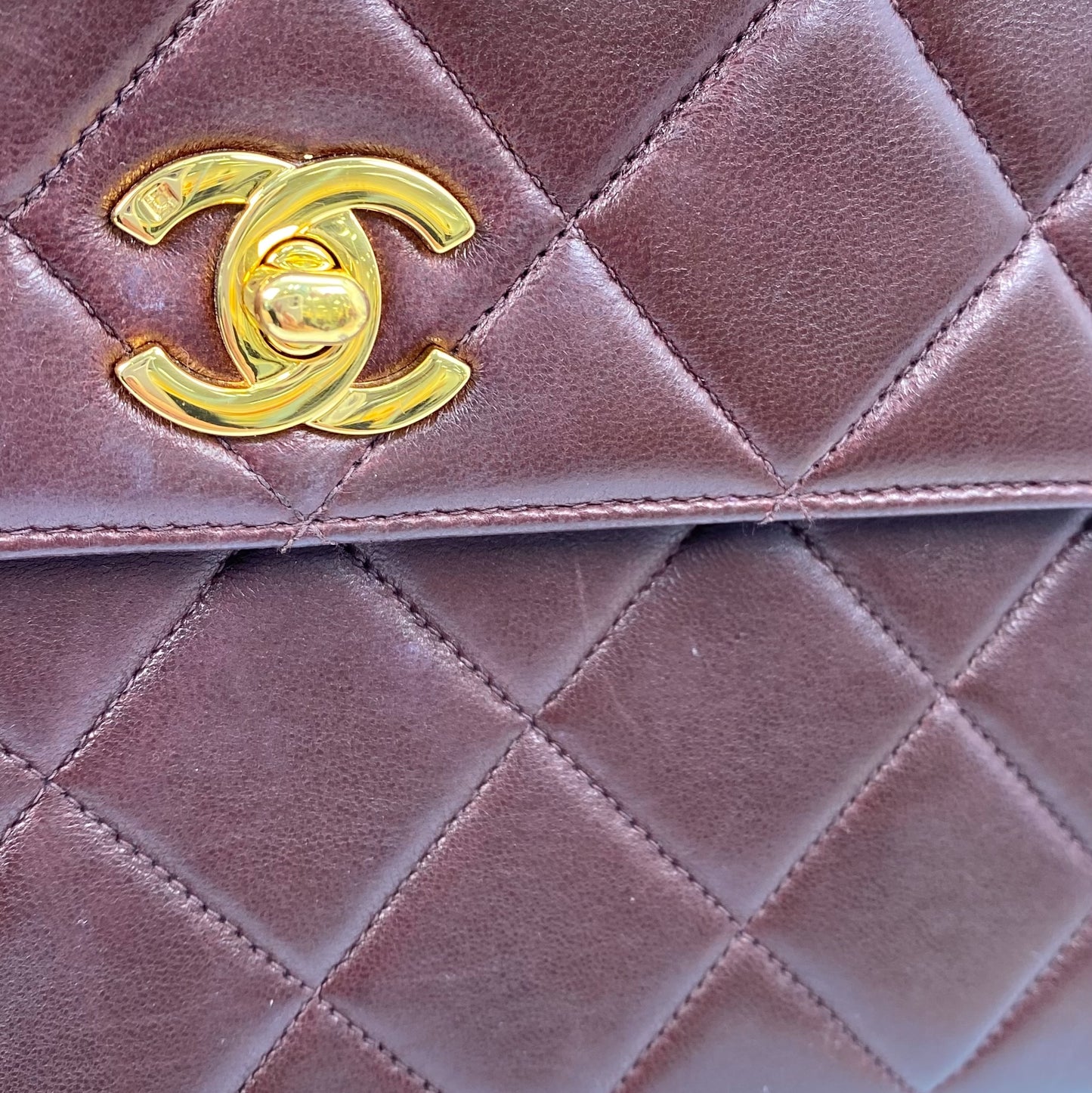 Jasper, 4 Series 23cm Square Dark Brown Mini Lambskin with seal and card