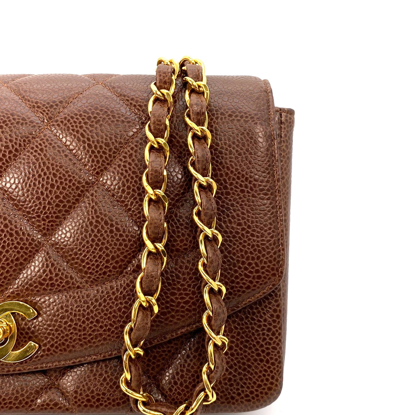 Rina, 2 Series Small Diana Brown Caviar with seal only