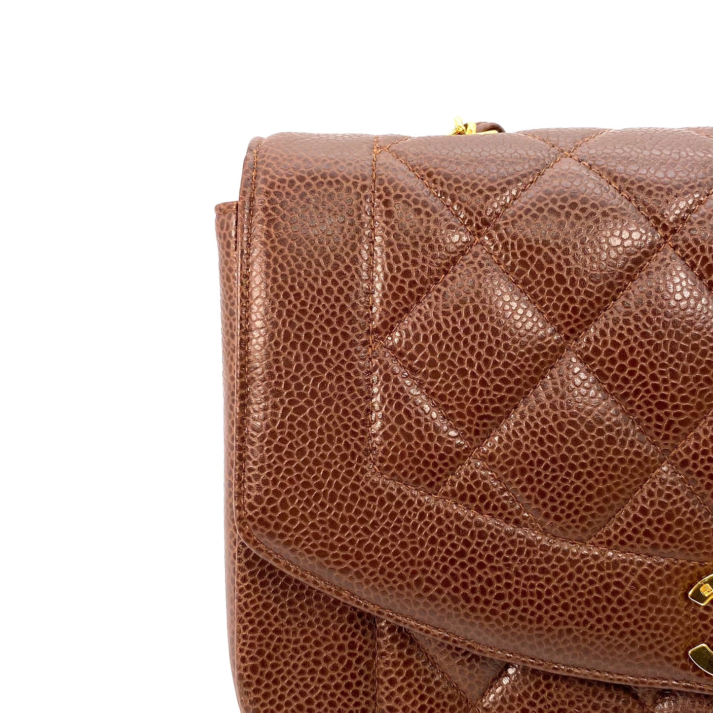 Rina, 2 Series Small Diana Brown Caviar with seal only