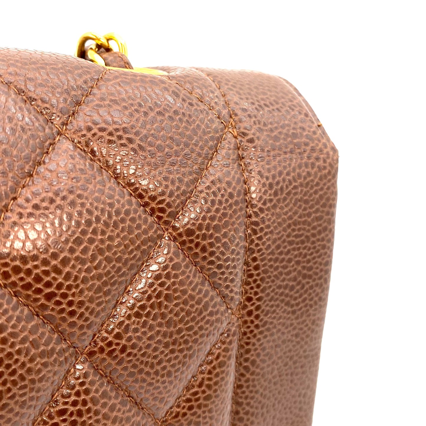 Rina, 2 Series Small Diana Brown Caviar with seal only