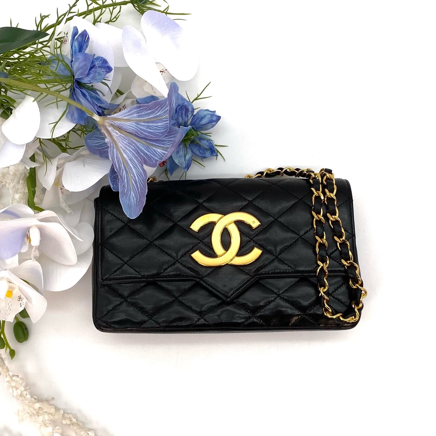 Corolla, 0 Series Big CC Black Lamb Rectangular Envelope with seal only