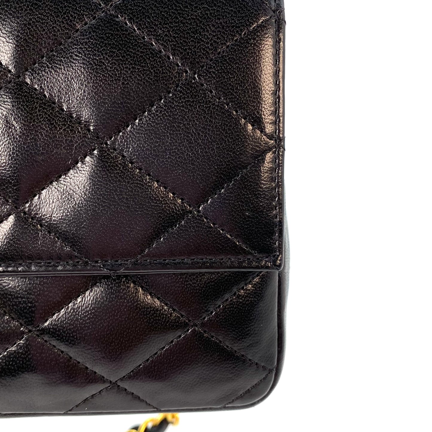 Corolla, 0 Series Big CC Black Lamb Rectangular Envelope with seal only