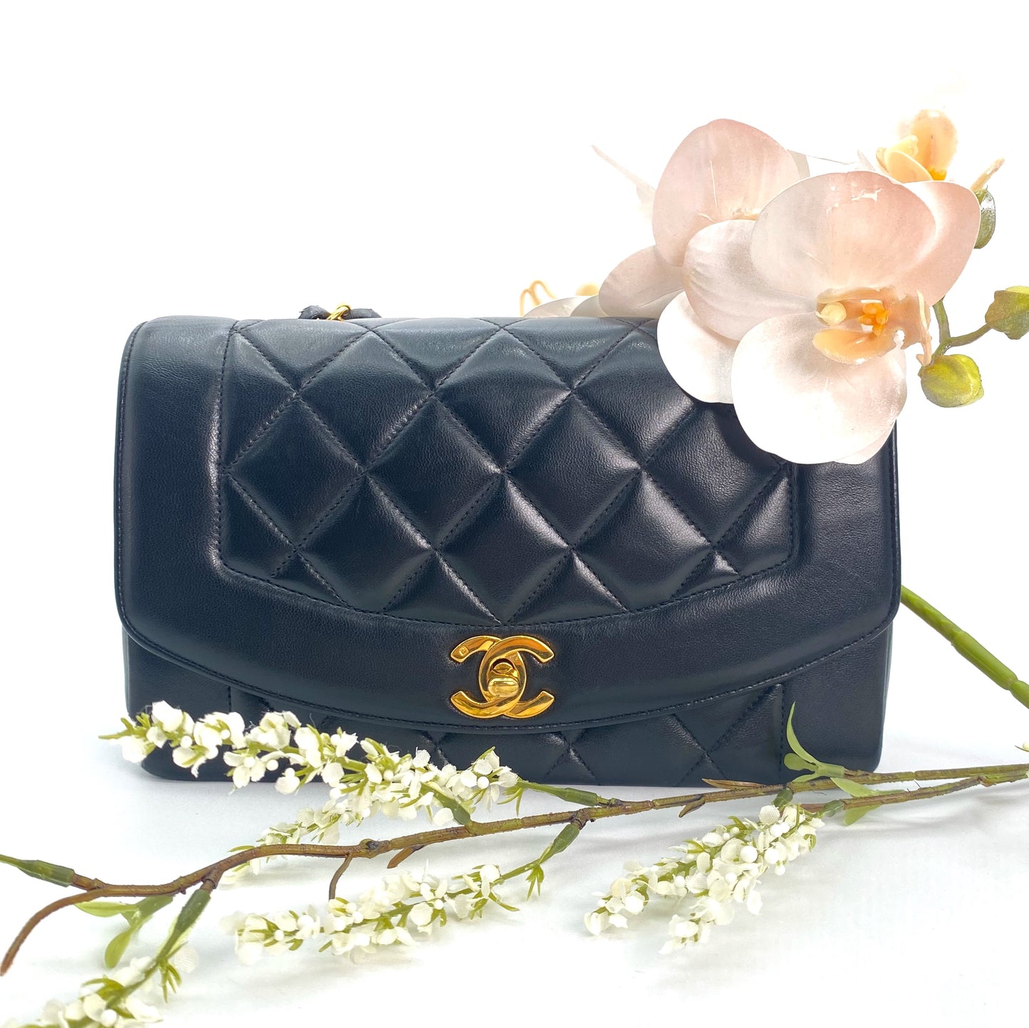 Enrique, 2 Series Small Black Lambskin Diana with seal and card