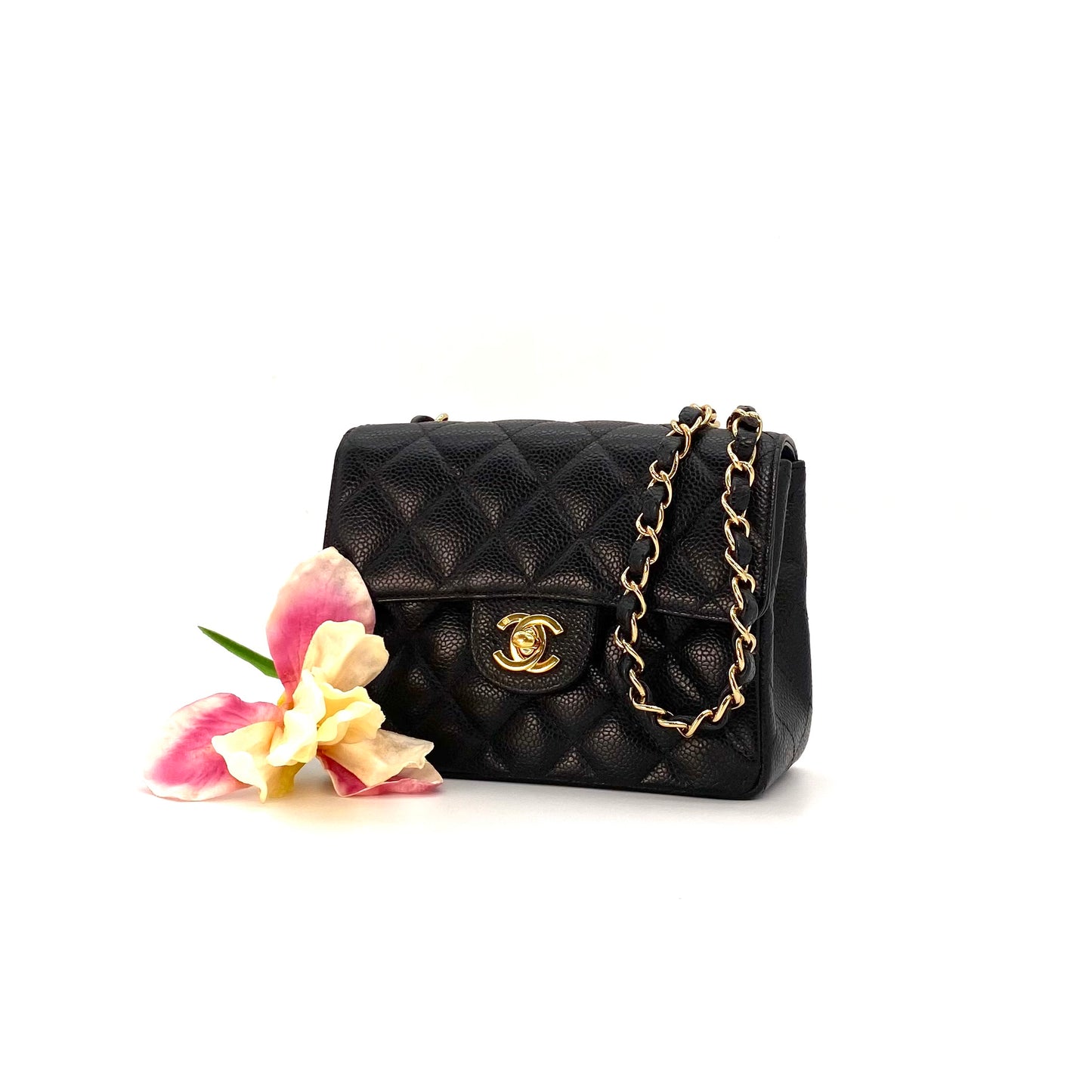 Pilu, 9 Series Mini Square 17cm Black Caviar with seal and card