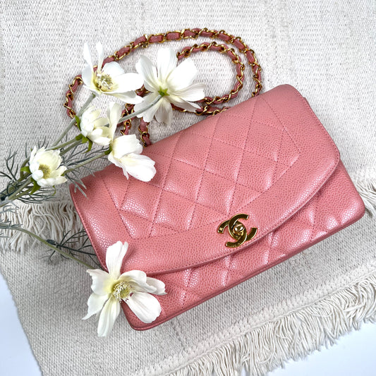 Asher, small Diana Light Pink Caviar with seal only