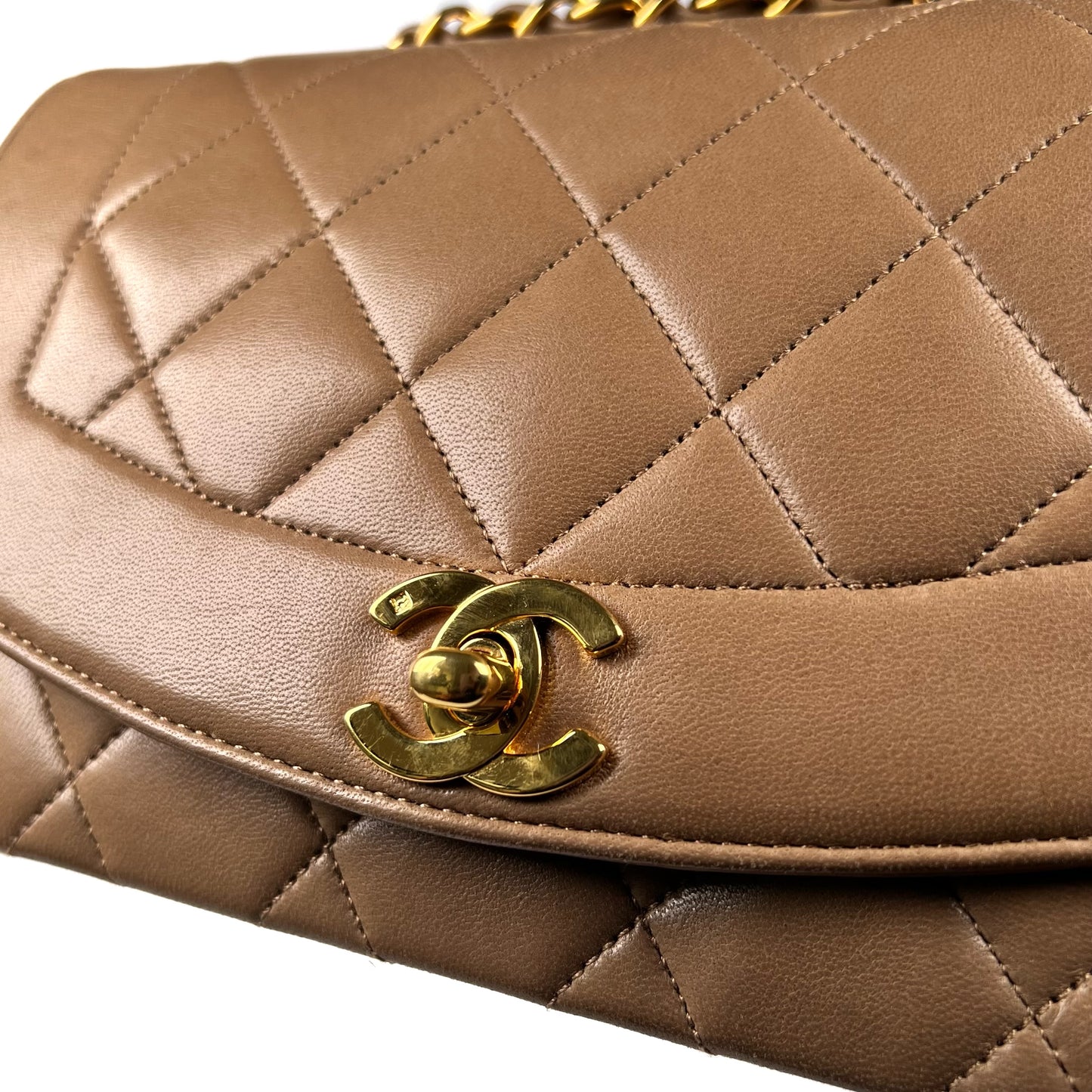 Ruth, 2 Series Small Diana Taupe with seal and card