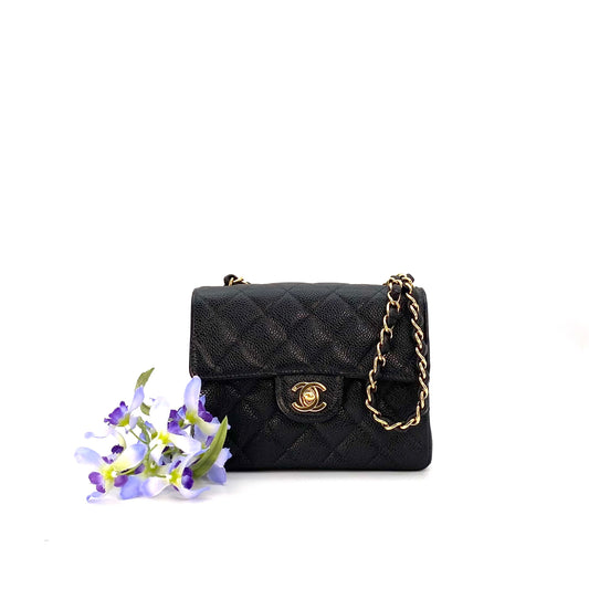Ivar, 7 Series Square 17cm  Black Caviar with seal and card
