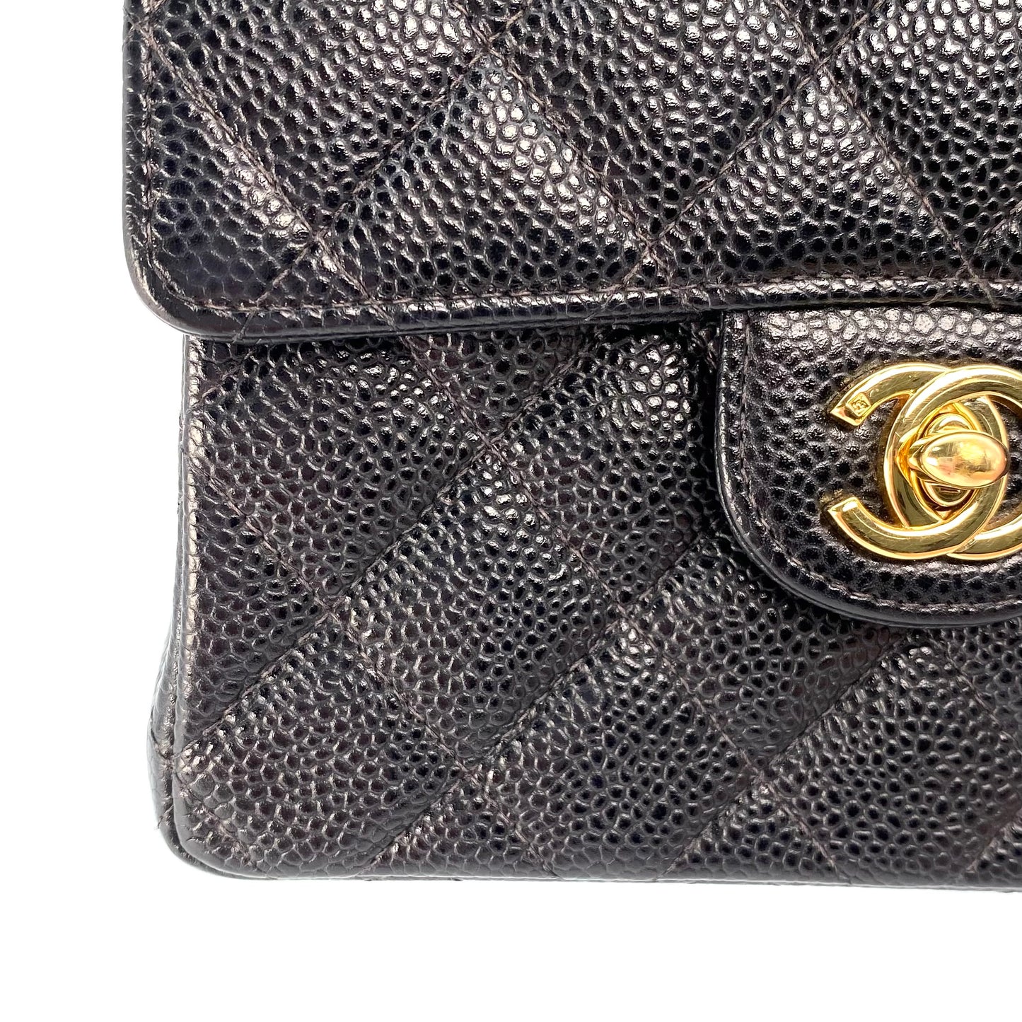 Ivar, 7 Series Square 17cm  Black Caviar with seal and card