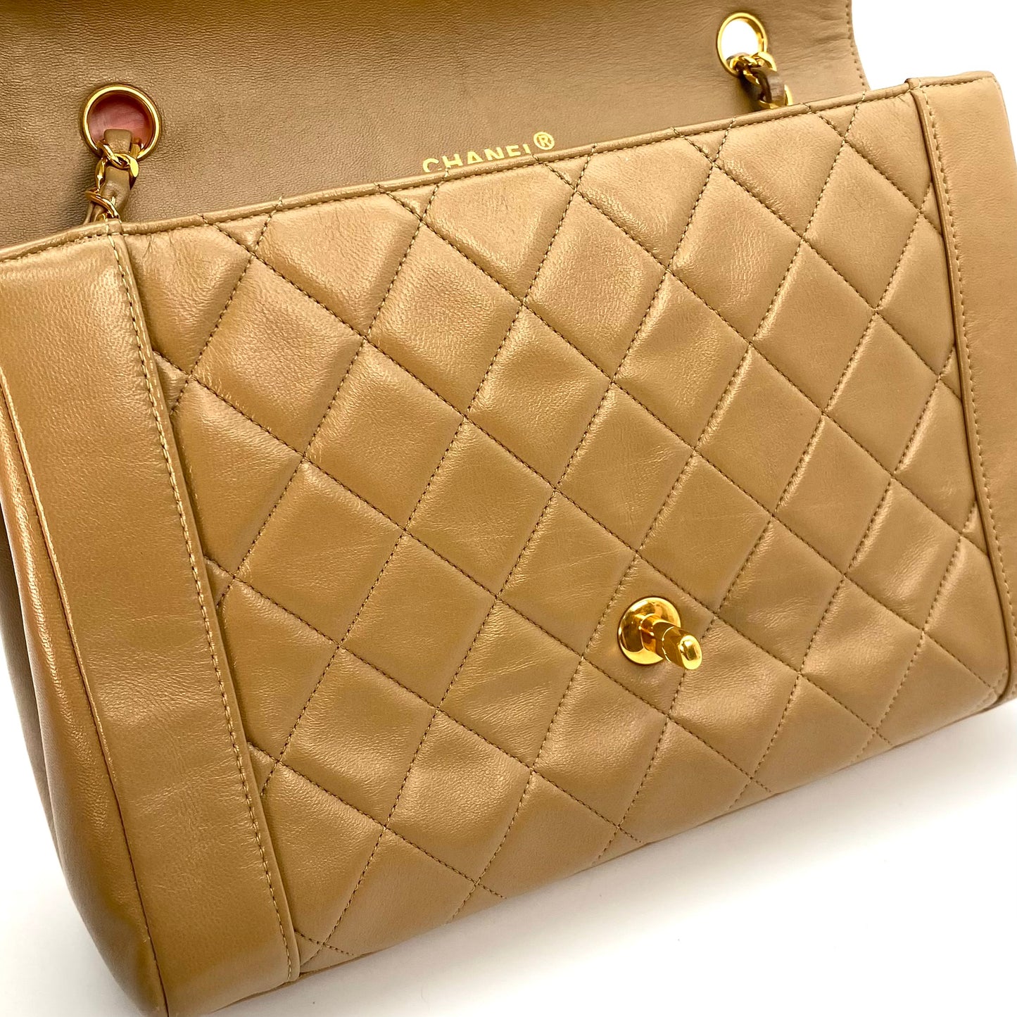 Lucius, 1 Series Tab Border Dark Beige Lambskin Flap with seal and card