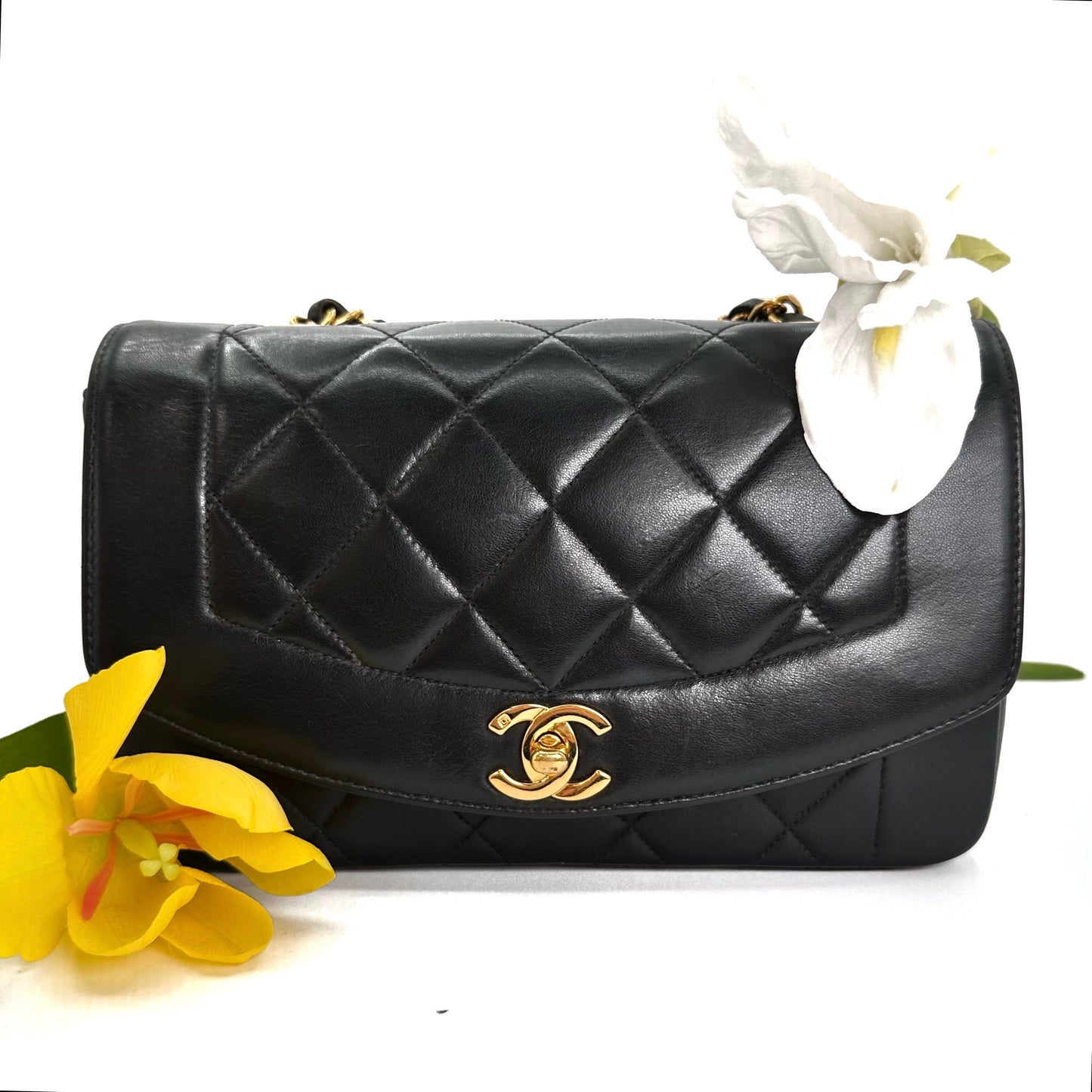 Vivienne, 3 series small black lambskin diana with seal and card