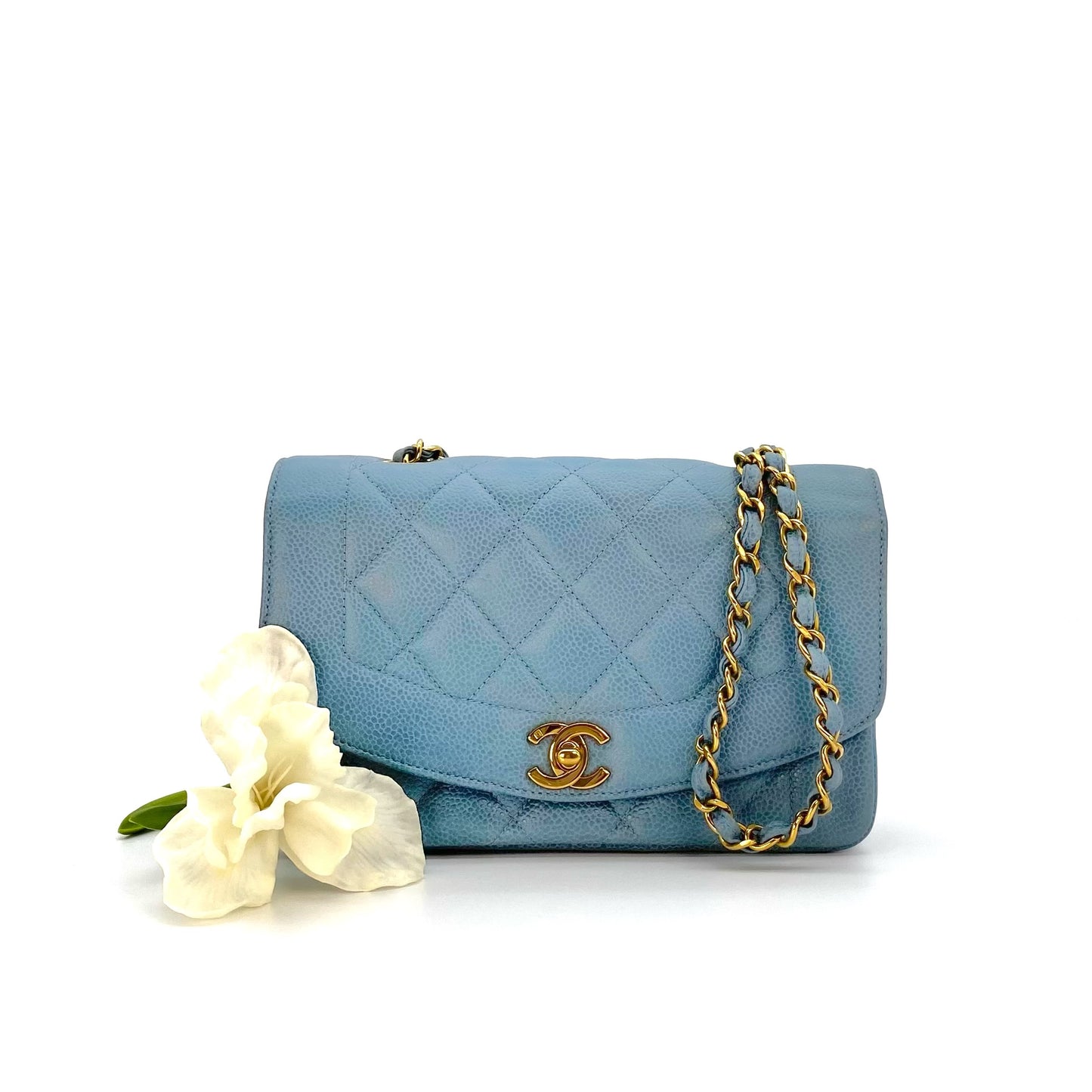 Jeana, 3 Series Small Diana Light Blue Caviar wth seal only