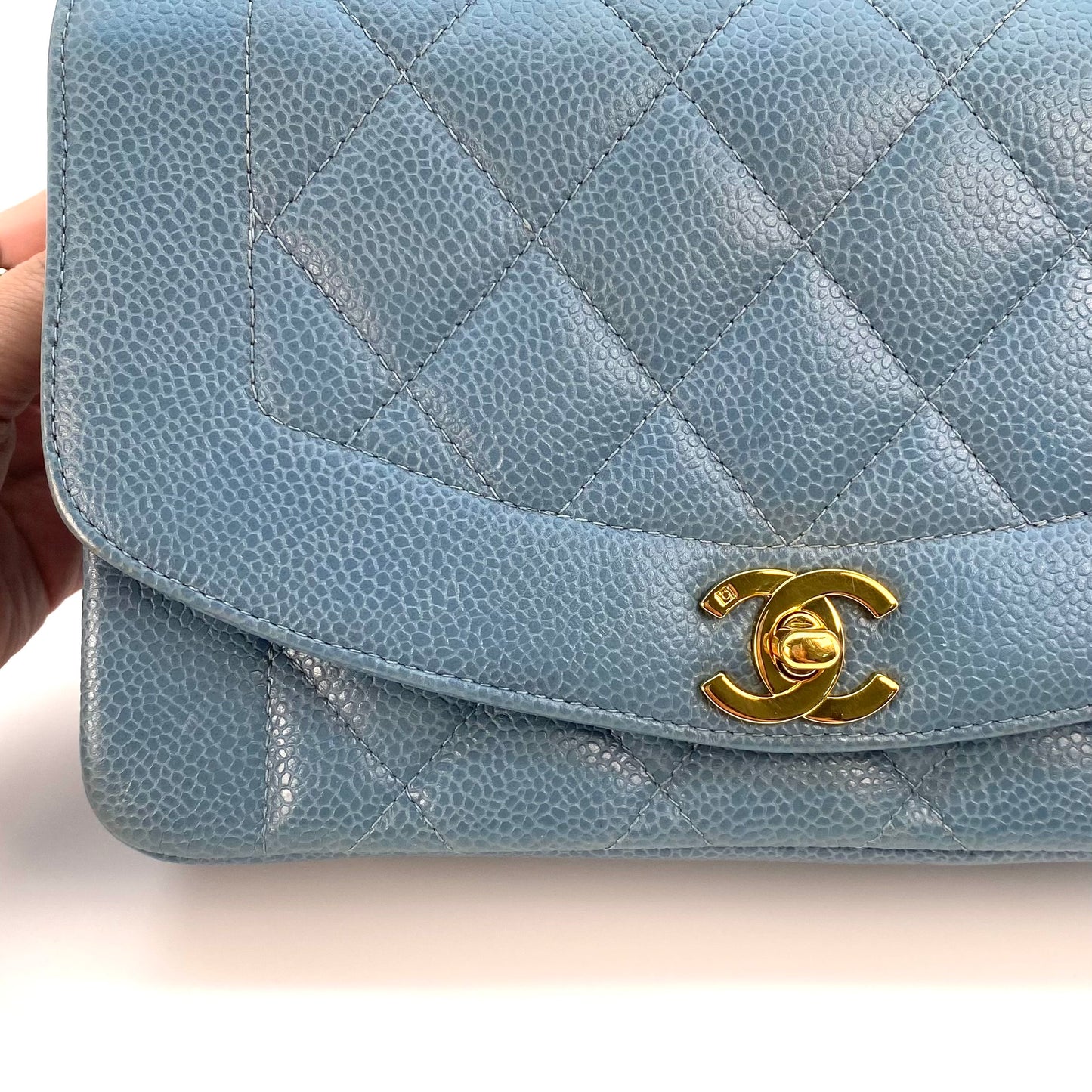 Jeana, 3 Series Small Diana Light Blue Caviar wth seal only
