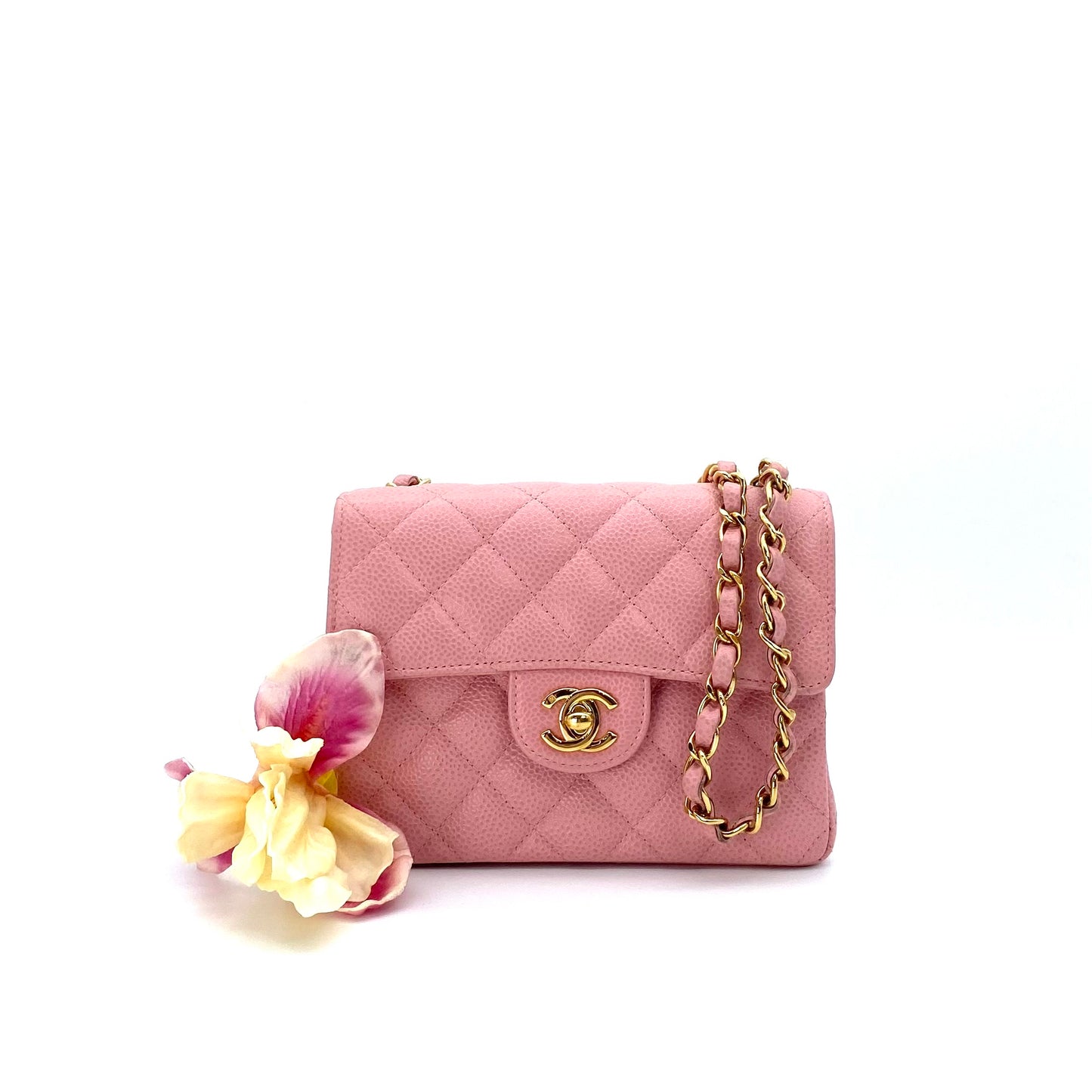 Halwa, 9 Series Mini Square 17cm Pink Caviar with seal and card