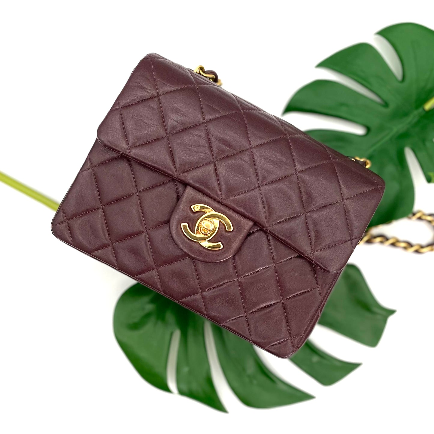 Amado, 3 Series 17cm Mini Square Bordeaux Lambskin with seal and card